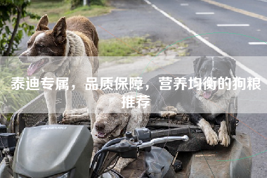 泰迪专属，品质保障，营养均衡的狗粮推荐