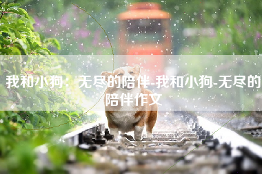 我和小狗：无尽的陪伴-我和小狗-无尽的陪伴作文