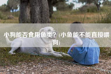 小狗能否食用鱼类？(小鱼能不能直接喂狗)
