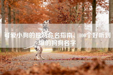 可爱小狗的独特命名指南、100个好听到爆的狗狗名字