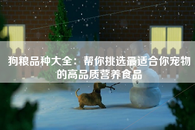 狗粮品种大全：帮你挑选最适合你宠物的高品质营养食品