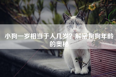 小狗一岁相当于人几岁？解密狗狗年龄的奥秘