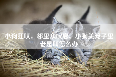 小狗狂吠，邻里众叹息、小狗关笼子里老是叫怎么办