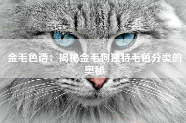 金毛色谱：揭秘金毛狗独特毛色分类的奥秘