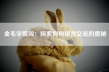 金毛学狼叫：探索狗狗语言交流的奥秘