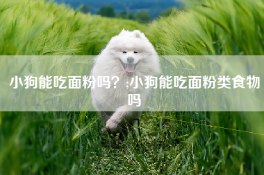 小狗能吃面粉吗？;小狗能吃面粉类食物吗