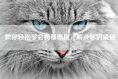 教你轻松学会柯基断尾，解决你的烦恼