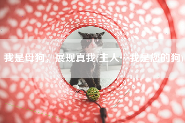 我是母狗，展现真我(主人…我是您的狗)