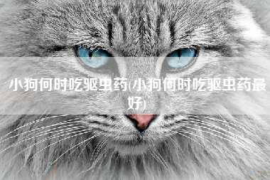 小狗何时吃驱虫药(小狗何时吃驱虫药最好)