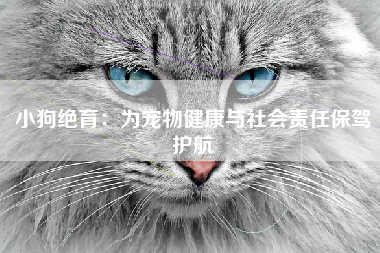 小狗绝育：为宠物健康与社会责任保驾护航