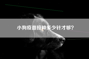 小狗疫苗接种多少针才够？