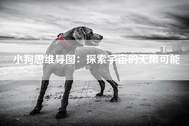 小狗思维导图：探索宇宙的无限可能