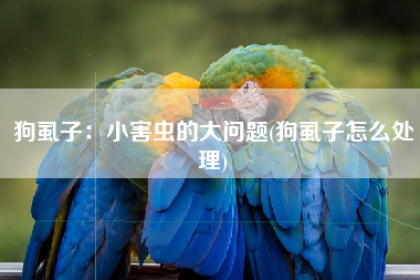 狗虱子：小害虫的大问题(狗虱子怎么处理)