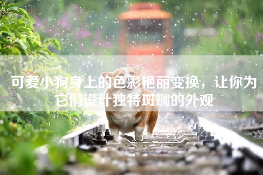 可爱小狗身上的色彩艳丽变换，让你为它们设计独特斑斓的外观
