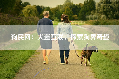 狗民网：犬迷互联，探索狗界奇趣