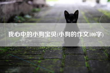我心中的小狗宝贝(小狗的作文100字)