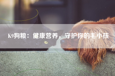 K9狗粮：健康营养，守护你的毛小孩