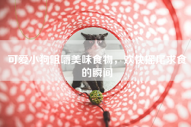 可爱小狗咀嚼美味食物，欢快摇尾求食的瞬间