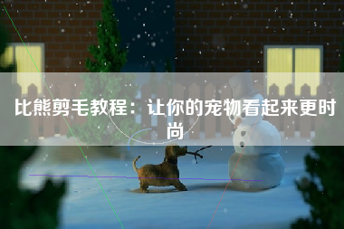 比熊剪毛教程：让你的宠物看起来更时尚