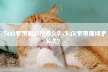 狗的繁殖周期是多久？(狗的繁殖周期是多久？)