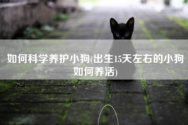 如何科学养护小狗(出生15天左右的小狗如何养活)