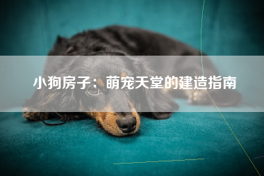 小狗房子：萌宠天堂的建造指南