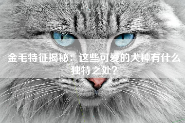 金毛特征揭秘：这些可爱的犬种有什么独特之处？