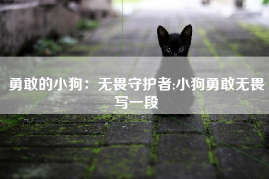 勇敢的小狗：无畏守护者;小狗勇敢无畏写一段
