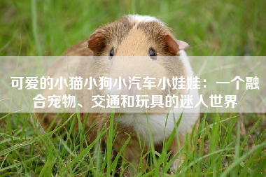 可爱的小猫小狗小汽车小娃娃：一个融合宠物、交通和玩具的迷人世界