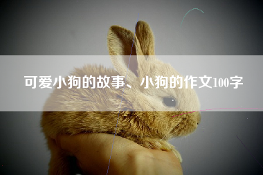 可爱小狗的故事、小狗的作文100字