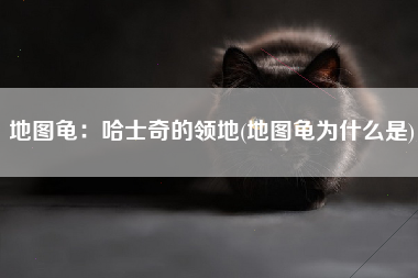 地图龟：哈士奇的领地(地图龟为什么是)