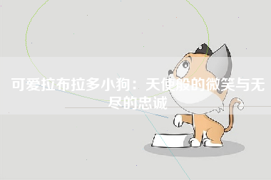 可爱拉布拉多小狗：天使般的微笑与无尽的忠诚