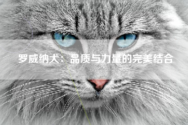 罗威纳犬：品质与力量的完美结合