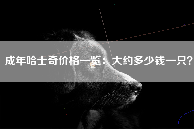 成年哈士奇价格一览：大约多少钱一只？