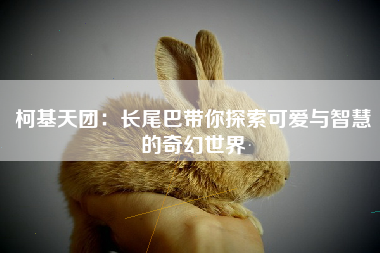 柯基天团：长尾巴带你探索可爱与智慧的奇幻世界