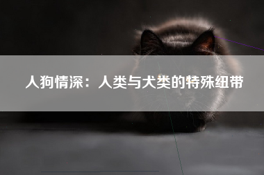 人狗情深：人类与犬类的特殊纽带