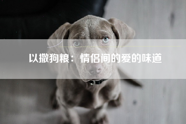 以撒狗粮：情侣间的爱的味道