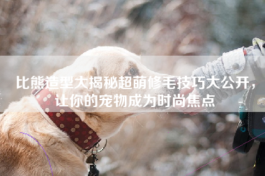 比熊造型大揭秘超萌修毛技巧大公开，让你的宠物成为时尚焦点