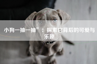 小狗一抽一抽”：探索它背后的可爱与乐趣