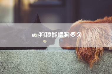 60g狗粮能喂狗多久