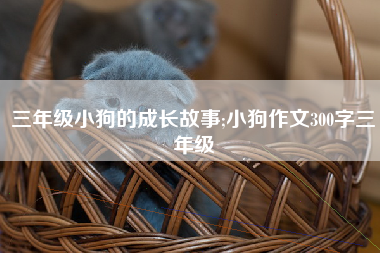 三年级小狗的成长故事;小狗作文300字三年级