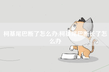 柯基尾巴断了怎么办;柯基尾巴断长了怎么办