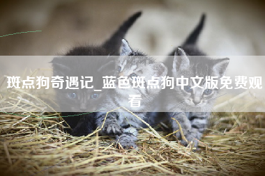 斑点狗奇遇记_蓝色斑点狗中文版免费观看