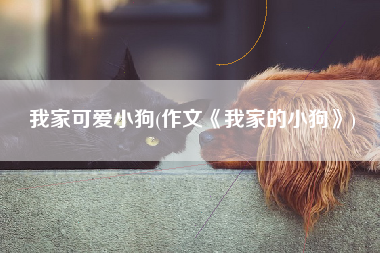 我家可爱小狗(作文《我家的小狗》)