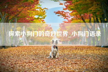 探索小狗门的奇妙世界_小狗门语录