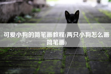可爱小狗的简笔画教程(两只小狗怎么画简笔画)