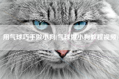 用气球巧手做小狗(气球做小狗教程视频)