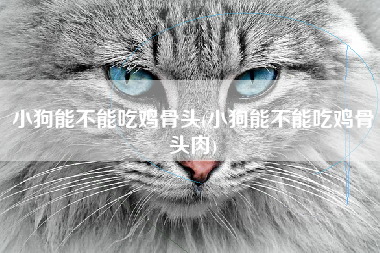 小狗能不能吃鸡骨头(小狗能不能吃鸡骨头肉)