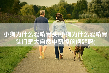 小狗为什么爱啃骨头(小狗为什么爱啃骨头门是大自然中奇怪的问题吗)