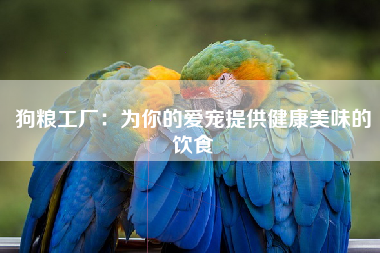 狗粮工厂：为你的爱宠提供健康美味的饮食